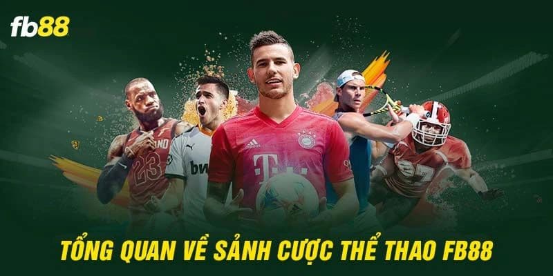 Lợi ích khi tham gia thể thao FB88